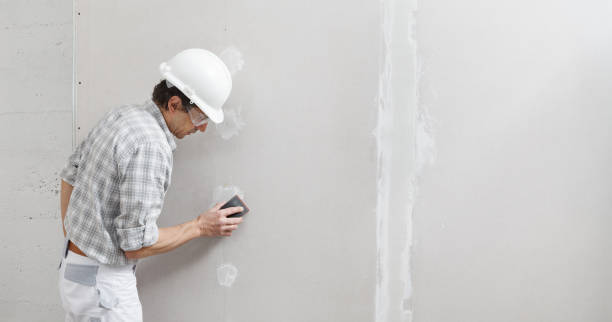 Best Environmental Consulting for Mold Prevention  in Prairie Du Sac, WI