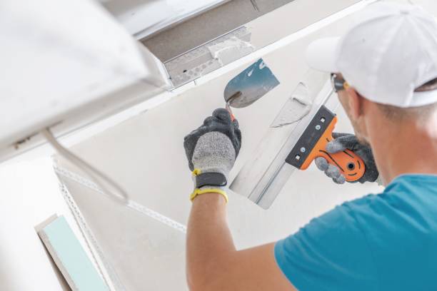 Best Black Mold Removal  in Prairie Du Sac, WI